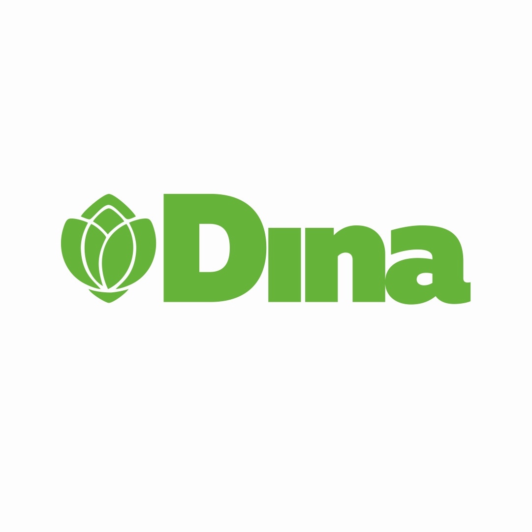 ДИНА